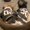Photo of Susan P.