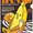 Photo of Banana D.