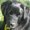 Photo of Jaclynn H.