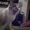 Photo of Jule B.