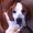 Photo of Dottie A.