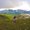 Photo of William C.