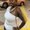 Photo of Aalia E.