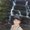 Photo of Susie M.