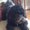 Photo of Terrill P.