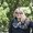 Photo of Ronda M.