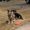 Photo of Kate B.