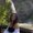 Photo of Annalise A.