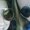 Photo of Ellysia F.