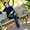 Photo of Andrew N.
