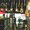Photo of Napa Music Supply N.