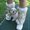 Photo of Quincey C.
