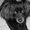 Photo of Chusha T.