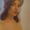 Photo of Lizbette M. L.