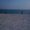 Photo of Kristen Y.