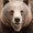 Photo of Qype User (Kazi…)