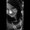 Photo of Kristi T.