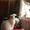 Photo of Izza L.
