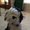 Photo of Lily B.