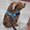 Photo of Gracy B.