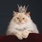 Clareece M. profile picture