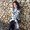 Photo of Jaimie K.