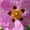Photo of Qype User (ziongi…)