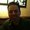 Photo of Trent M.