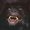 Photo of Morbius K.