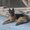 Photo of Beck F.