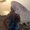Photo of Clemencia G.