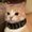 Photo of Minka K.