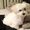 Photo of Marvin C.