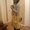 Photo of Dimitra G.