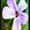 Photo of Qype User (darkro…)