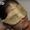 Photo of Anon Z.