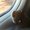 Photo of Aric S.