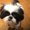 Photo of Mia D.