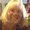 Photo of Lynne H.