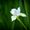 Photo of Darshana A.