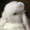 Photo of R M.