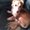 Photo of Angeline M.