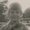 Photo of Mollie S.