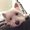 Photo of Tofu S.
