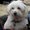 Photo of Harley Q.