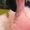 Photo of Yelpin M.