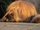 Photo of Qype User (Bernd…)