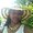Photo of Lynette S.