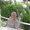 Photo of Qype User (rstref…)
