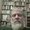 Photo of Bart V.